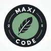 Maxi